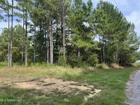 Presley Drive, Wiggins, MS 39577 photo 2