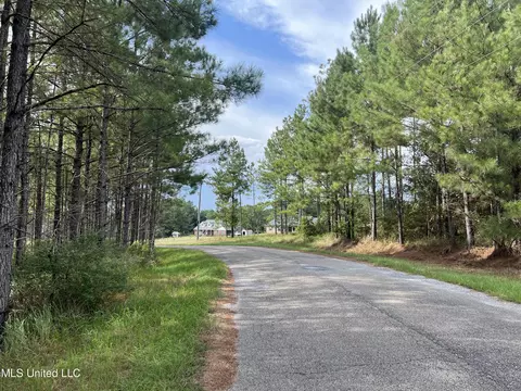 Presley Drive, Wiggins, MS 39577 photo 5