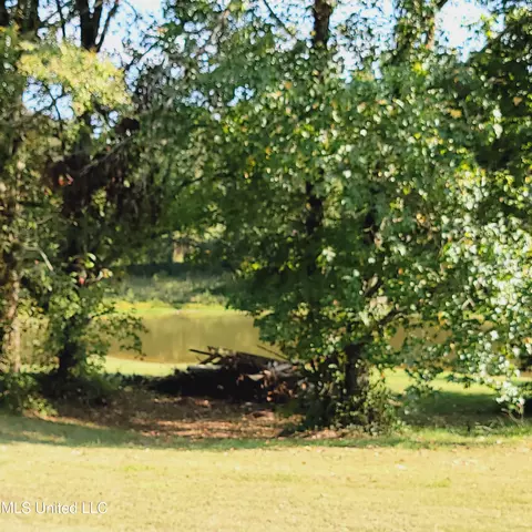 415 Metra Rd, Coldwater, MS 38618 photo 30
