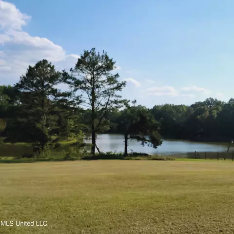 415 Metra Rd, Coldwater, MS 38618 photo 28