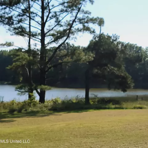 415 Metra Rd, Coldwater, MS 38618 photo 29