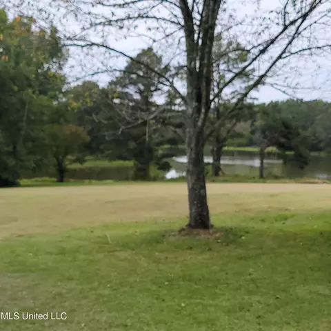 415 Metra Rd, Coldwater, MS 38618 photo 5