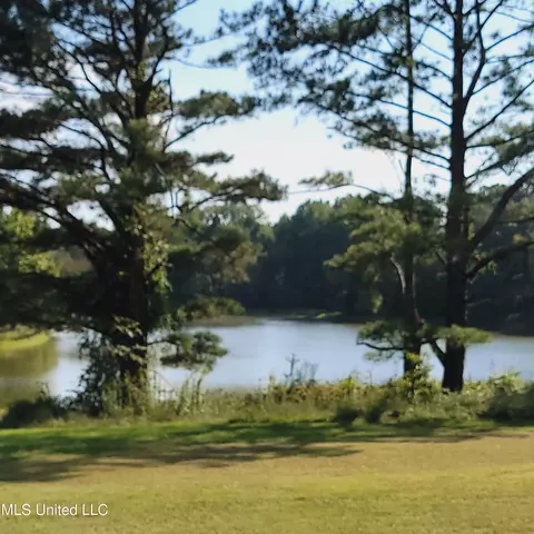415 Metra Rd, Coldwater, MS 38618 photo 31