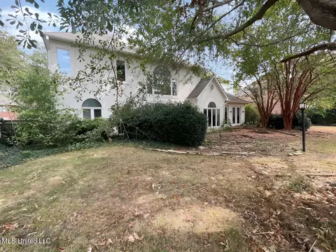 352 Long Cove Dr, Madison, MS 39110 photo 7