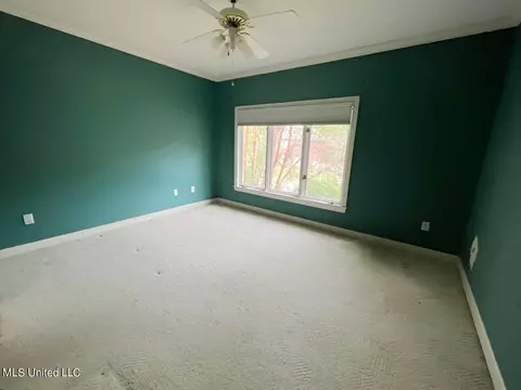 352 Long Cove Dr, Madison, MS 39110 photo 31