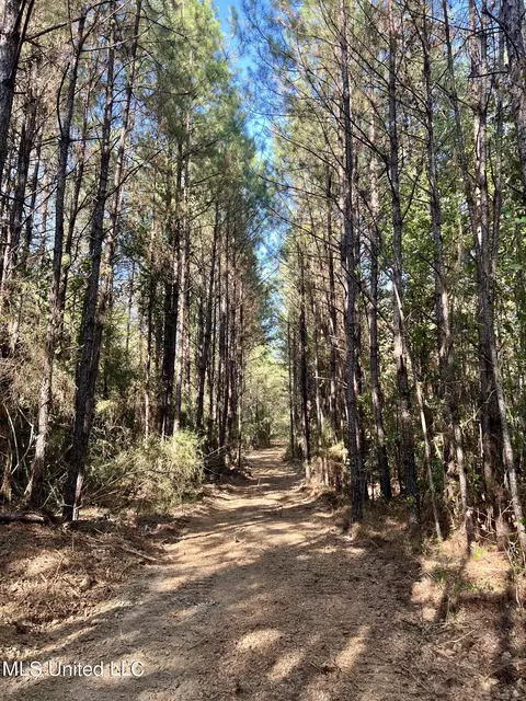 0 Hwy 501, Lake, MS 39092