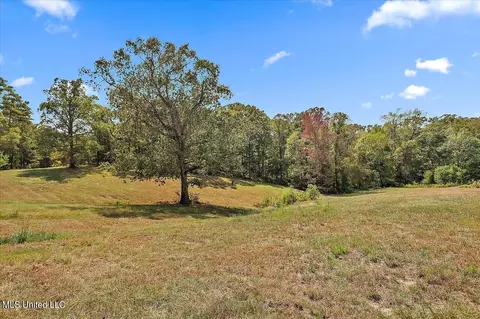 871 Mullican Rd, Florence, MS 39073 photo 24
