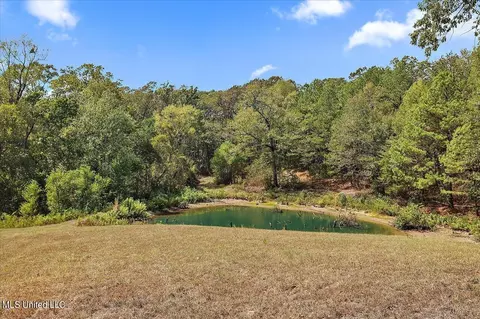 871 Mullican Rd, Florence, MS 39073 photo 23