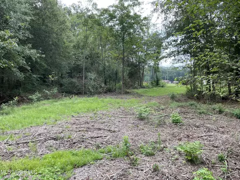 132 Kathryn Dr, Brandon, MS 39042 photo 3