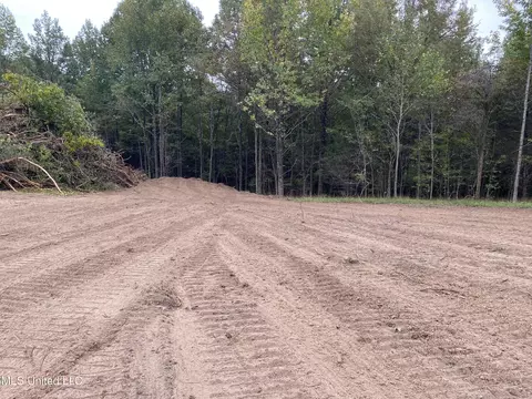2 Moore Rd, Coldwater, MS 38618