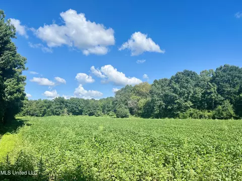 000 Stump Bridge Rd, Canton, MS 39046 photo 16