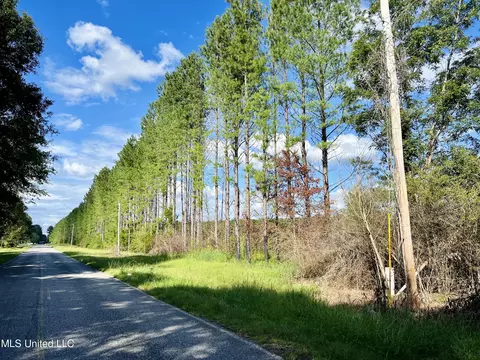 000 Stump Bridge Rd, Canton, MS 39046 photo 8