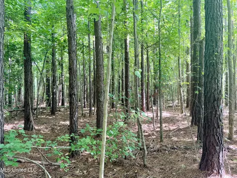 000 Stump Bridge Rd, Canton, MS 39046 photo 12