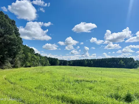 000 Stump Bridge Rd, Canton, MS 39046