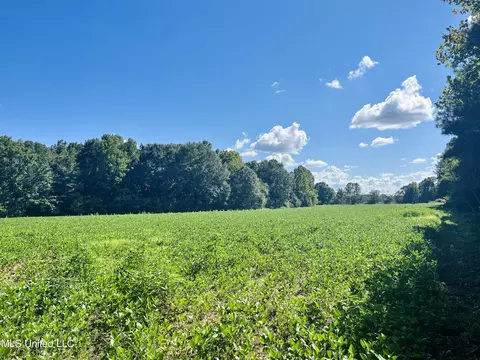 000 Stump Bridge Rd, Canton, MS 39046 photo 19
