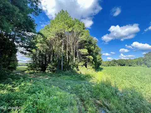 000 Stump Bridge Rd, Canton, MS 39046 photo 17