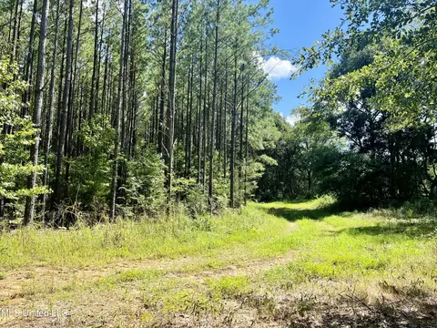 000 Stump Bridge Rd, Canton, MS 39046 photo 9