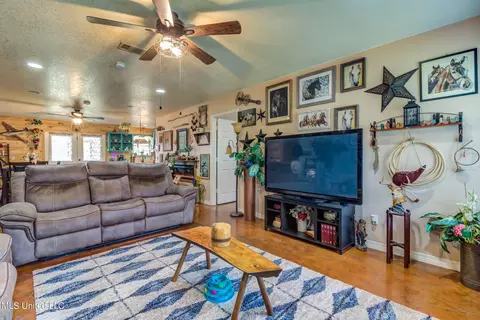 24212 Old Highway 49, Saucier, MS 39574 photo 9