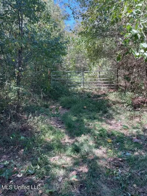 0 Wyatt- Tyro Rd, Senatobia, MS 38668