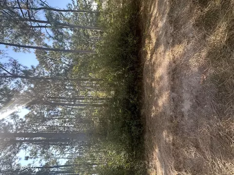 Oak Street, Ocean Springs, MS 39564