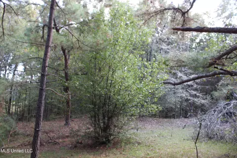 2901 Moore Rd, Red Banks, MS 38661