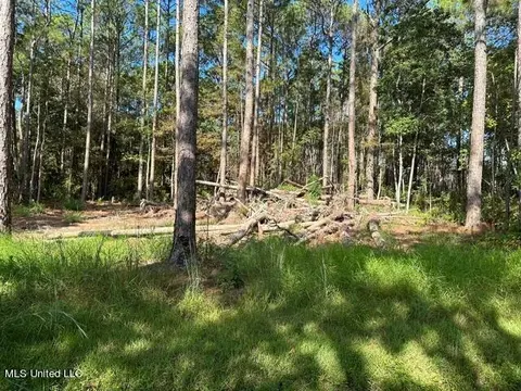 N 21st Street, Ocean Springs, MS 39564