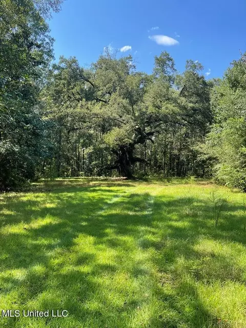 2442 Kiln Delisle Rd, Kiln, MS 39556