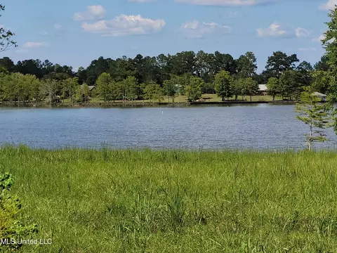 Anchor Lake Road, Carriere, MS 39426