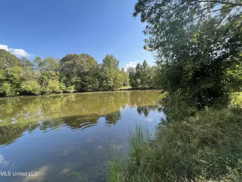 Malone Road, Olive Branch, MS 38654 photo 4