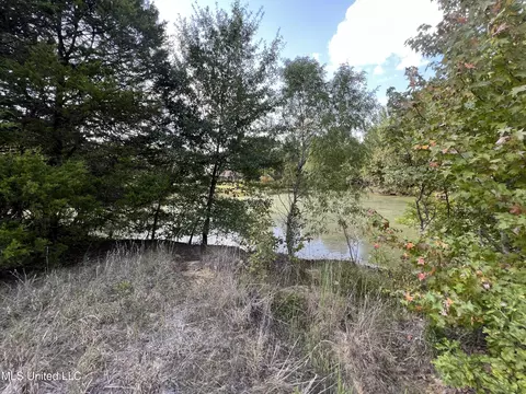 Malone Road, Olive Branch, MS 38654 photo 9