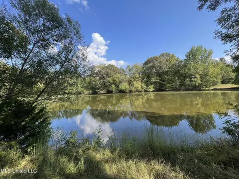 Malone Road, Olive Branch, MS 38654 photo 3