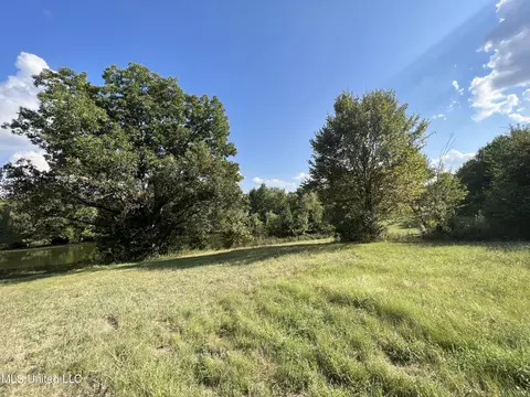 Malone Road, Olive Branch, MS 38654 photo 8