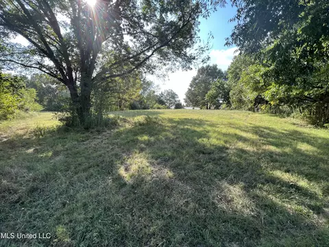 Malone Road, Olive Branch, MS 38654 photo 6
