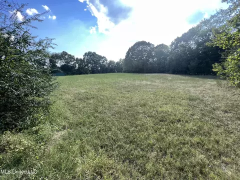 Malone Road, Olive Branch, MS 38654 photo 10