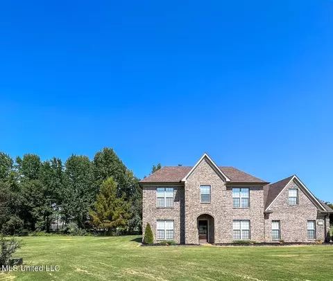 2829 Maggie Cove Cv, Hernando, MS 38632 photo 2