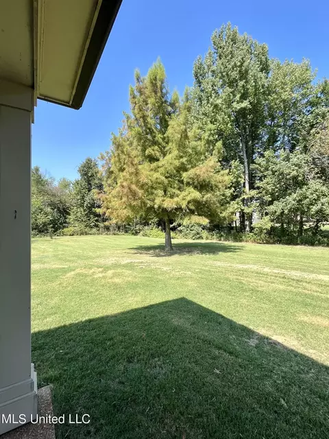 2829 Maggie Cove Cv, Hernando, MS 38632 photo 29