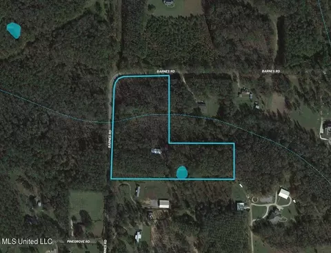 1169 Barnes Rd, Canton, MS 39046 photo 10