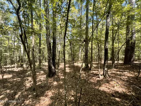 1169 Barnes Rd, Canton, MS 39046 photo 46