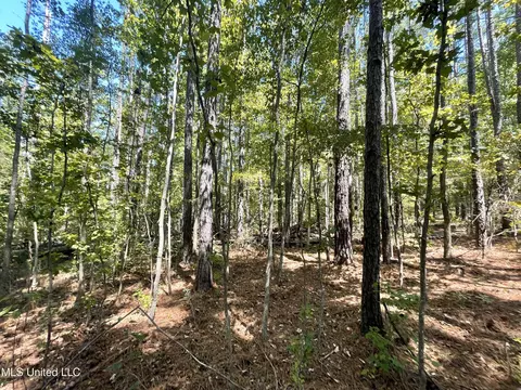 1169 Barnes Rd, Canton, MS 39046 photo 42