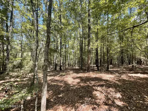 1169 Barnes Rd, Canton, MS 39046 photo 44