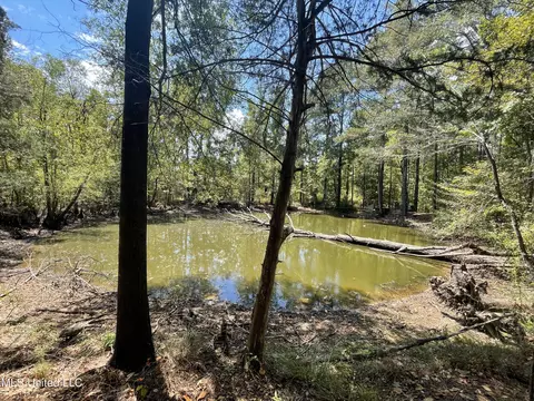 1169 Barnes Rd, Canton, MS 39046 photo 40