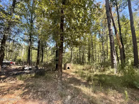 1169 Barnes Rd, Canton, MS 39046 photo 38