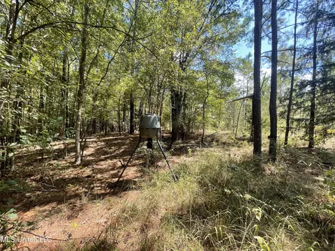 1169 Barnes Rd, Canton, MS 39046 photo 47