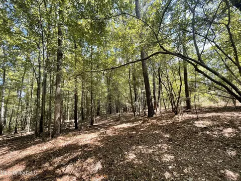 1169 Barnes Rd, Canton, MS 39046 photo 45