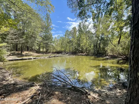 1169 Barnes Rd, Canton, MS 39046 photo 39