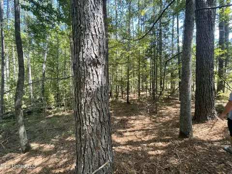 1169 Barnes Rd, Canton, MS 39046 photo 41