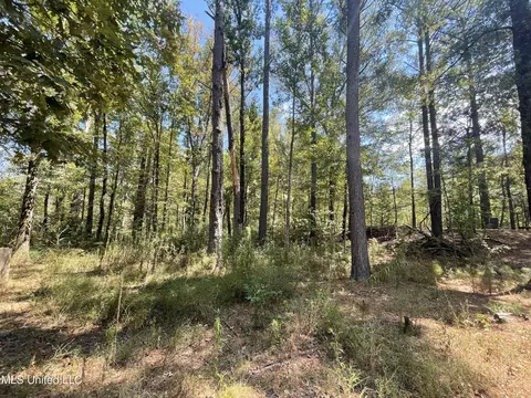 1169 Barnes Rd, Canton, MS 39046 photo 37