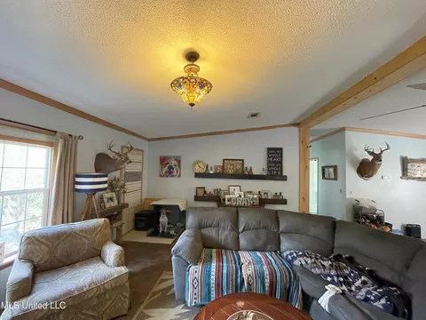 1169 Barnes Rd, Canton, MS 39046 photo 24