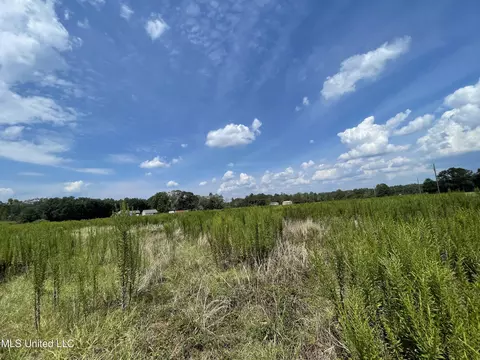 0 Abigail Pointe, Picayune, MS 39466 photo 7