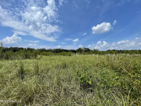0 Abigail Pointe, Picayune, MS 39466 photo 11